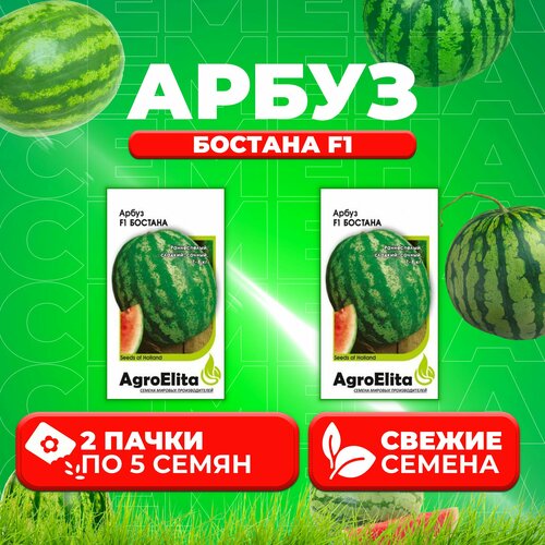    F1, 5, AgroElita (2 )   -     , -, 