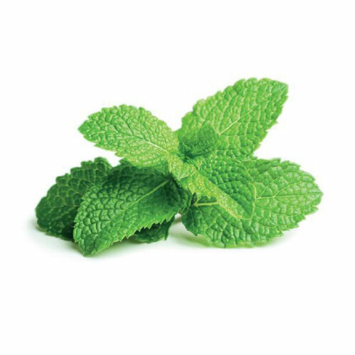  Click And Grow   Click And Grow Peppermint 3 .    Click And Grow    -     , -, 
