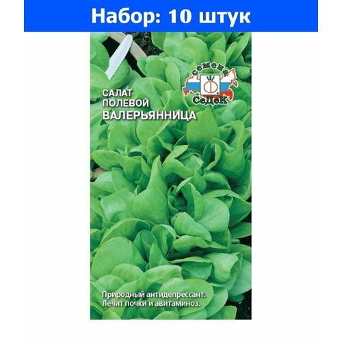     1  () - 10     -     , -, 