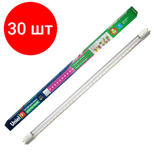   30 ,  Uniel LED-T8-9W/SPSB/G13/CL PLP30WH  T8,    -     , -, 