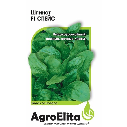     F1, 1,0, AgroElita, Bejo   -     , -, 