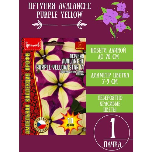    Avalanche Purple-Yellow Star 1   -     , -, 