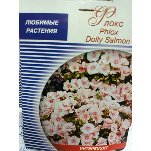   Phlox Dolly Salmon    -     , -, 