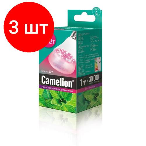  3 ,     Camelion LED10-PL   -     , -, 