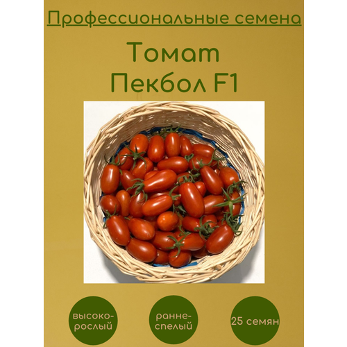    (142-520) F1 25    -     , -, 