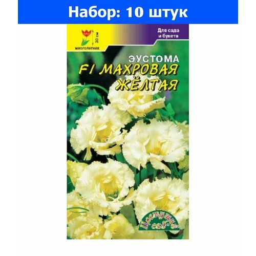     F1 5  30 ( ) - 10     -     , -, 