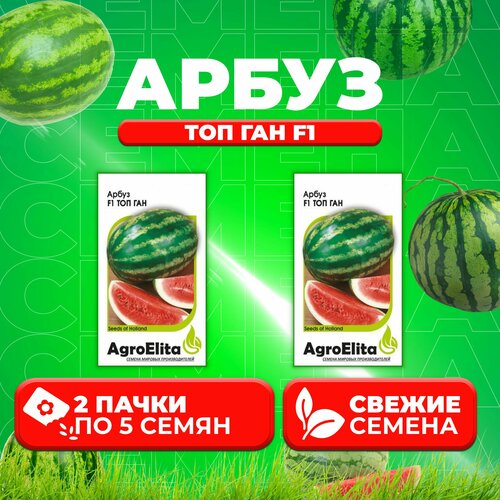     F1, 5, AgroElita (2 )   -     , -, 