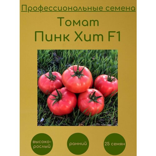     F1 25    -     , -, 