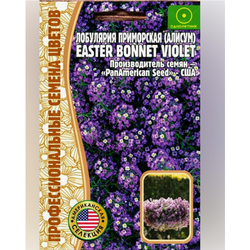   () Easter Bonnet Violet 20 .   (2  )   -     , -, 