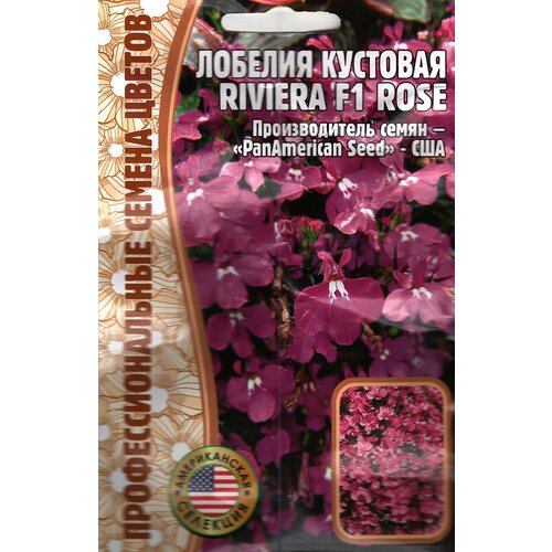    Riviera F1 Rose,   ( 1 : 5  )   -     , -, 