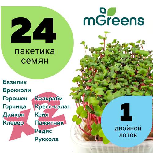  Home Market Green /      24        -     , -, 