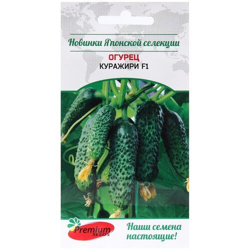   Premium seeds   F1 5    -     , -, 