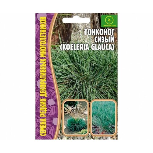     (Koeleria glauca) (0,01)   -     , -, 