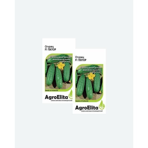     F1, 10, AgroElita, Nunhems(2 ),   398 