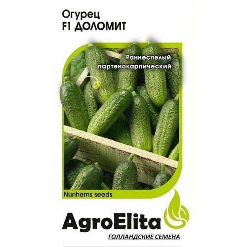     F1, 5, AgroElita, Nunhems   -     , -, 