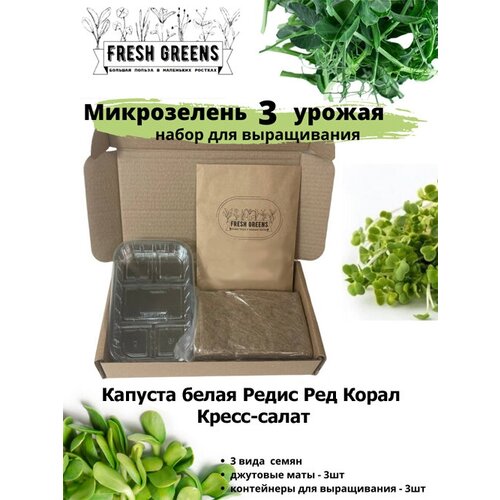      Fresh Greens (     -)   -     , -, 