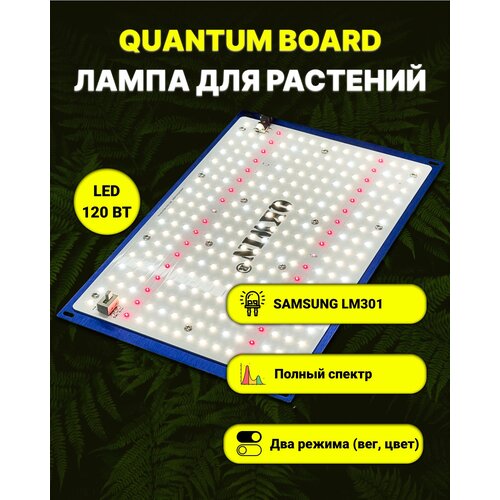   /   / quantum board/  / 120 / Mean Well/  Samsung LM-301. 5000, UV, IR   -     , -, 