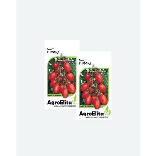     F1, 10, AgroElita, Seminis(2 )   -     , -, 