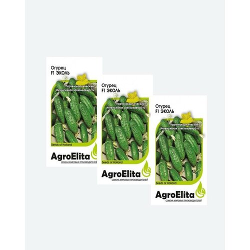     F1, 5, AgroElita(3 )   -     , -, 