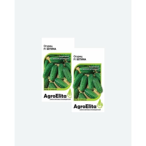     F1, 5, AgroElita, Nunhems(2 ),   414 