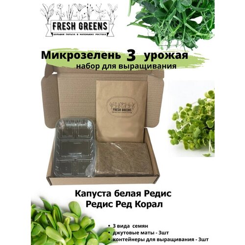      Fresh Greens (     )   -     , -, 