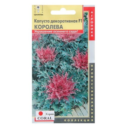     Coral    F1 5 .   -     , -, 