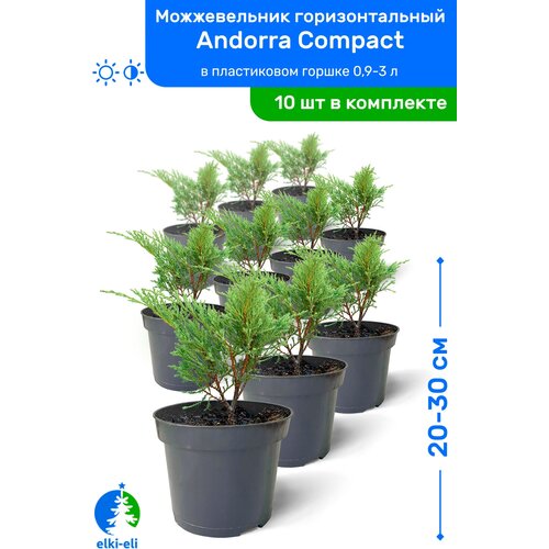    Andorra Compact ( ) 20-30    0,9-3, ,   ,   10,   9950 