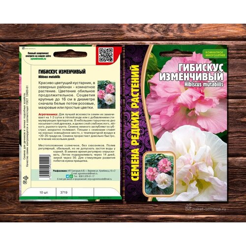     (Hibiscus mutabilis) (7 )   -     , -, 