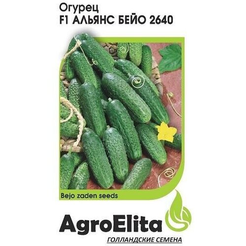    AgroElita    2640 F1 10 ., 10 .,   734 