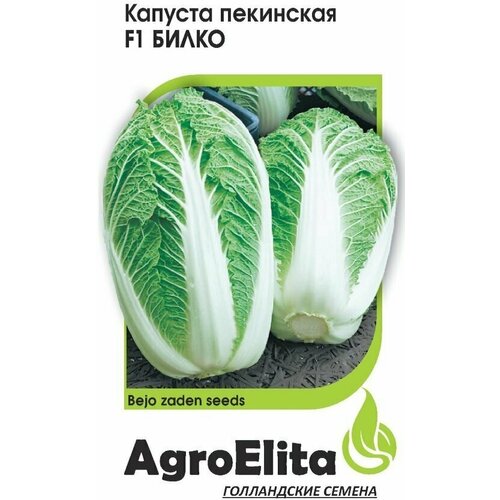      F1, 10, AgroElita, Bejo   -     , -, 