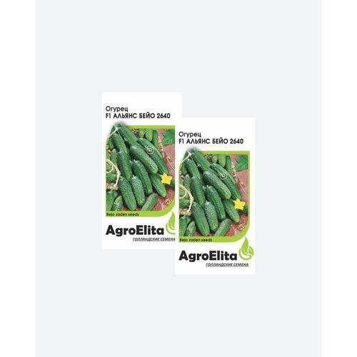      2640 F1, 10, AgroElita, Bejo(2 )   -     , -, 