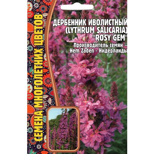    / Lythrum salicaria ROSY GEM,  ( 1 : 0,05  )   -     , -, 
