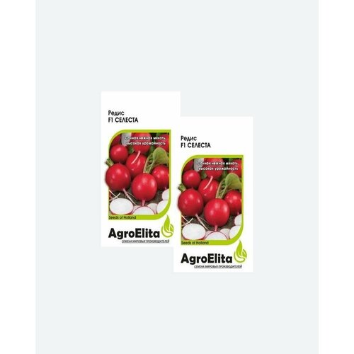     F1, 0,5, AgroElita, Enza Zaden(2 )   -     , -, 