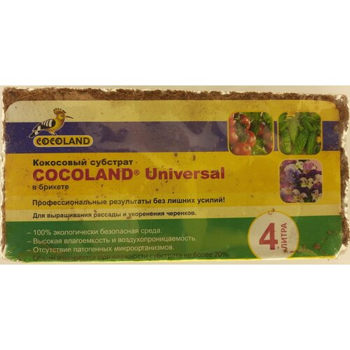      ( ) COCOLAND Universal 4    -     , -, 