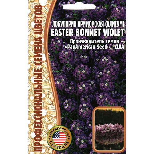    () Easter bonnet violet ( 1 : 20  )   -     , -, 