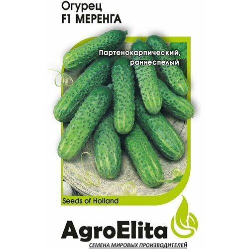     F1, 5, AgroElita, Seminis   -     , -, 