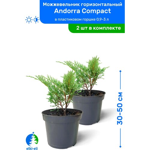   Andorra Compact ( ) 30-50     0,9-3 , ,   ,   2 ,   4100 