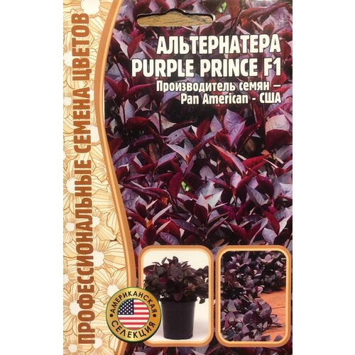    Purple Prince F1 (3 .)   -     , -, 