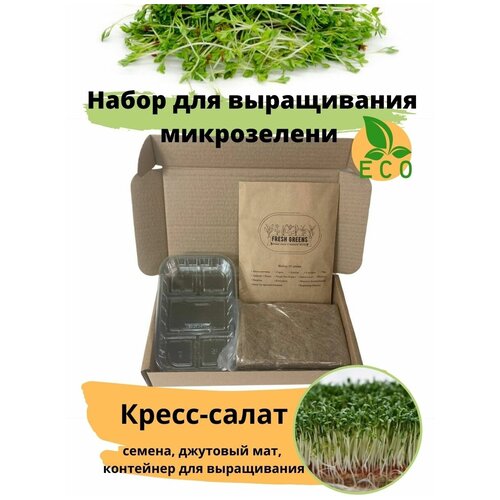      - Fresh Greens ( -,  ,   )   -     , -, 