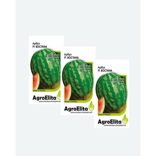     F1, 5, AgroElita(3 )   -     , -, 