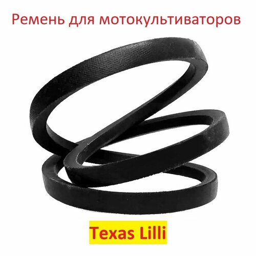        Texas Lilli   -     , -, 