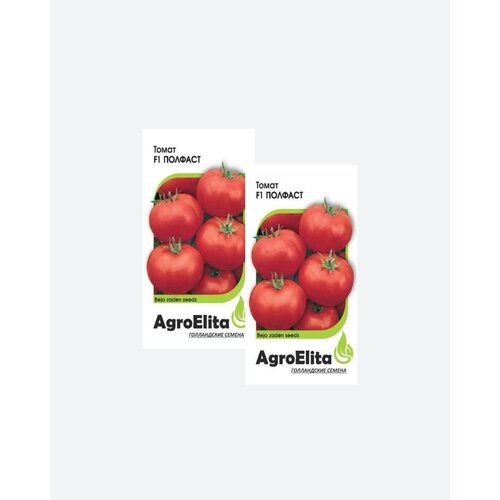     F1,10, AgroElita, Bejo(2 )   -     , -, 