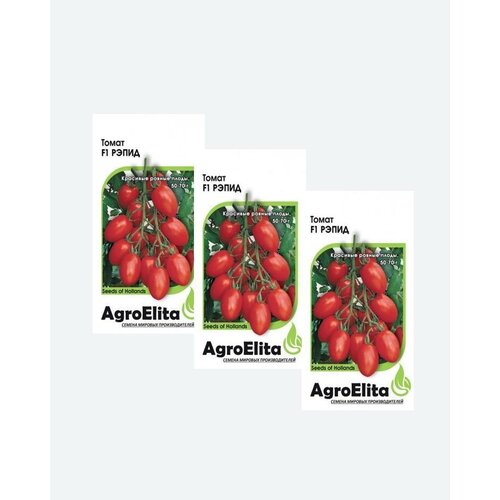     F1, 10, AgroElita, Seminis(3 )   -     , -, 