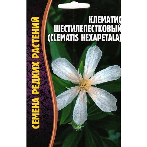    Clematis hexapetala,    ( 1 : 10  )   -     , -, 