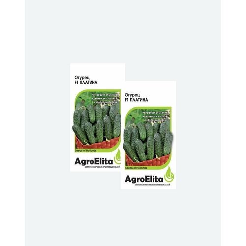     F1, 5, AgroElita, Nunhems(2 )   -     , -, 