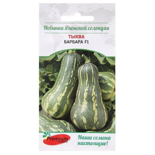   Premium seeds      F1 5 .   -     , -, 