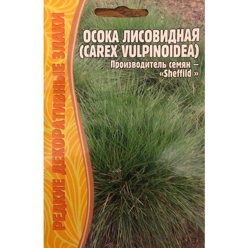     (Carex vulpinoidea) (100 )   -     , -, 