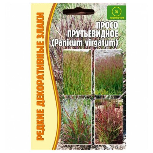     (Panicum virgatum) (0,1 ),   180 