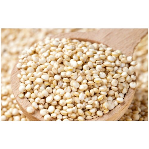    (. Chenopodium quinoa)  250   -     , -, 