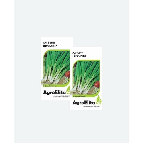     , 0,2, AgroElita, Bejo(2 )   -     , -, 